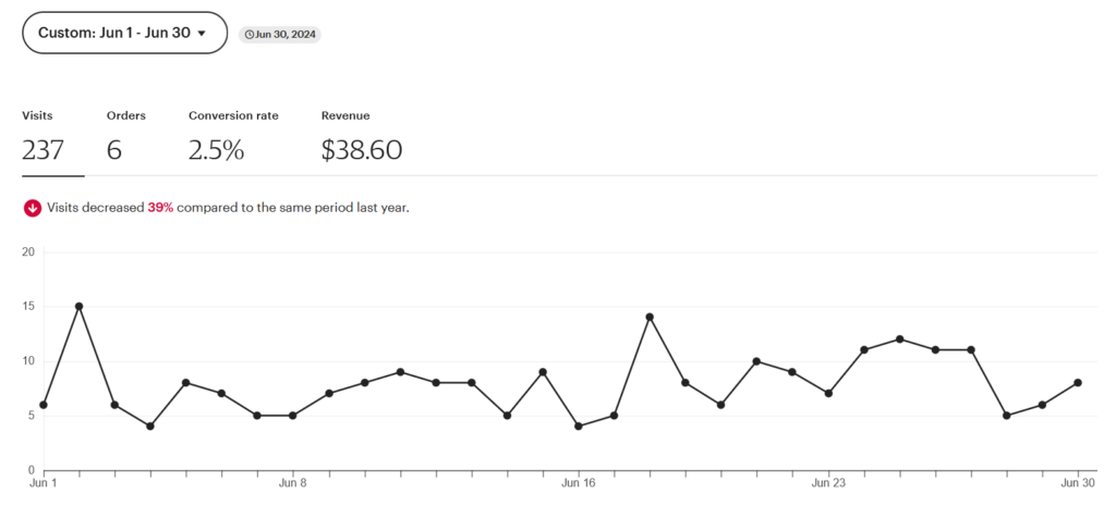 Etsy June 2024 Income Report